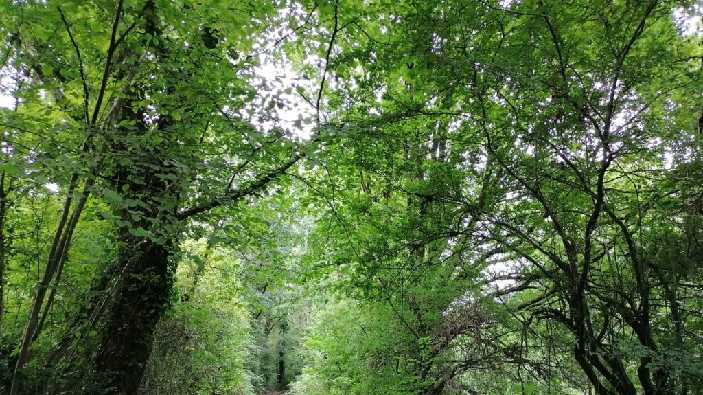 biodiversité trédion